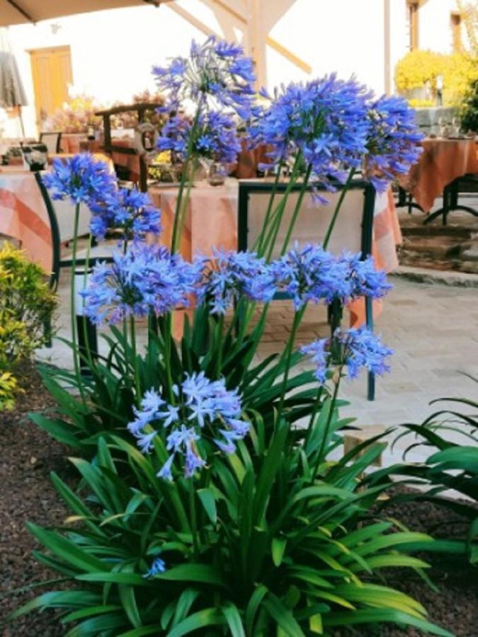 Hotel La Chaumiere Aubigny-sur-Nère Zewnętrze zdjęcie